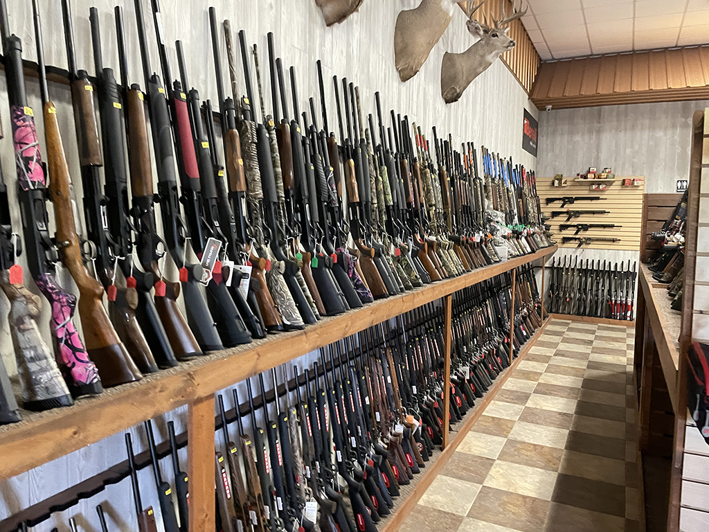 Sanne Guns & Ammo Wall of Inventory